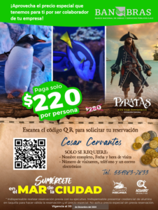 Arte BANOBRAS Reservacion $220.00 enero 2024